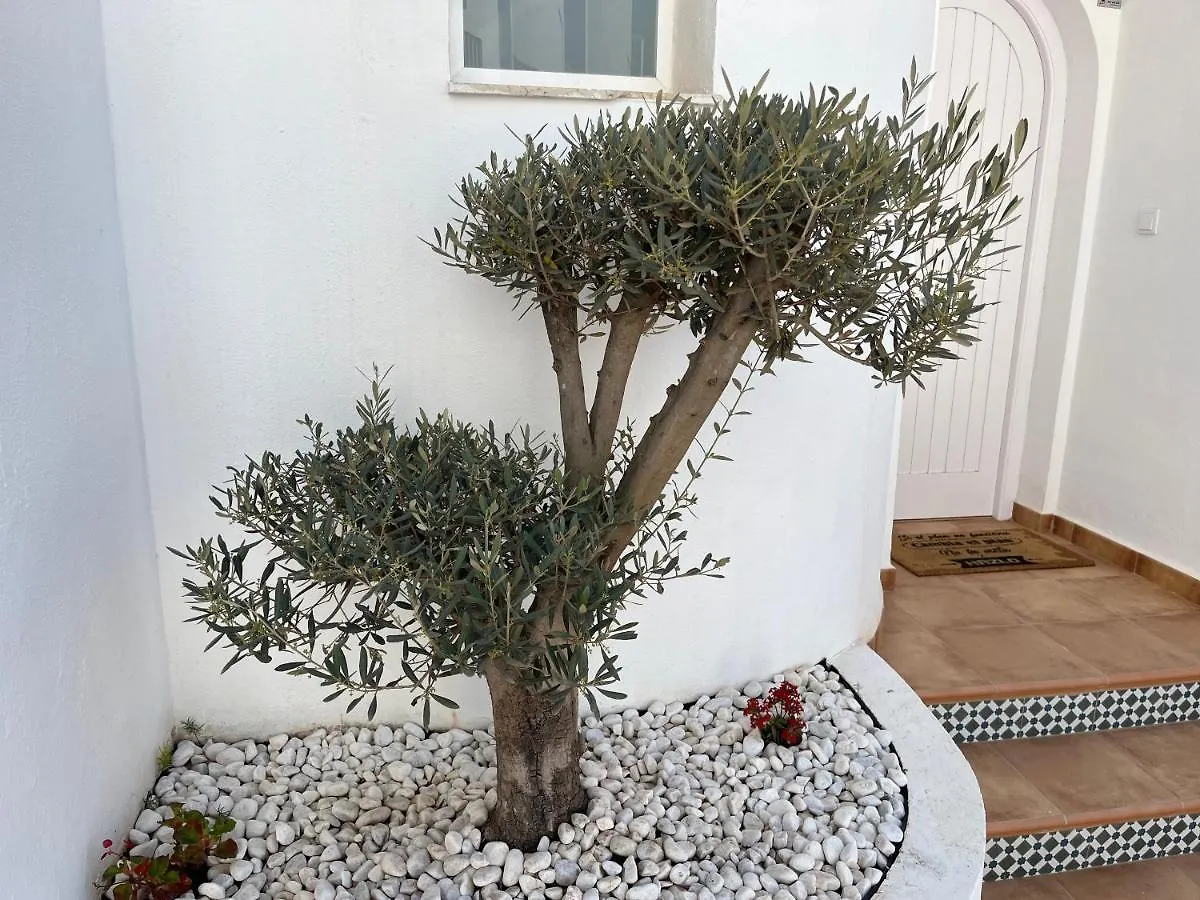 Casa Del Olivo Villa Almunecar Holiday home